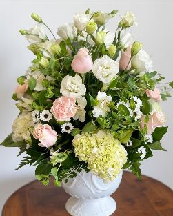 Sweet Suprises