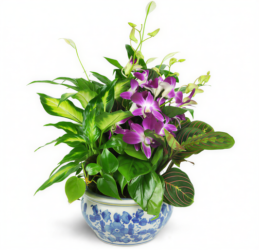 Sweet Memory Planter